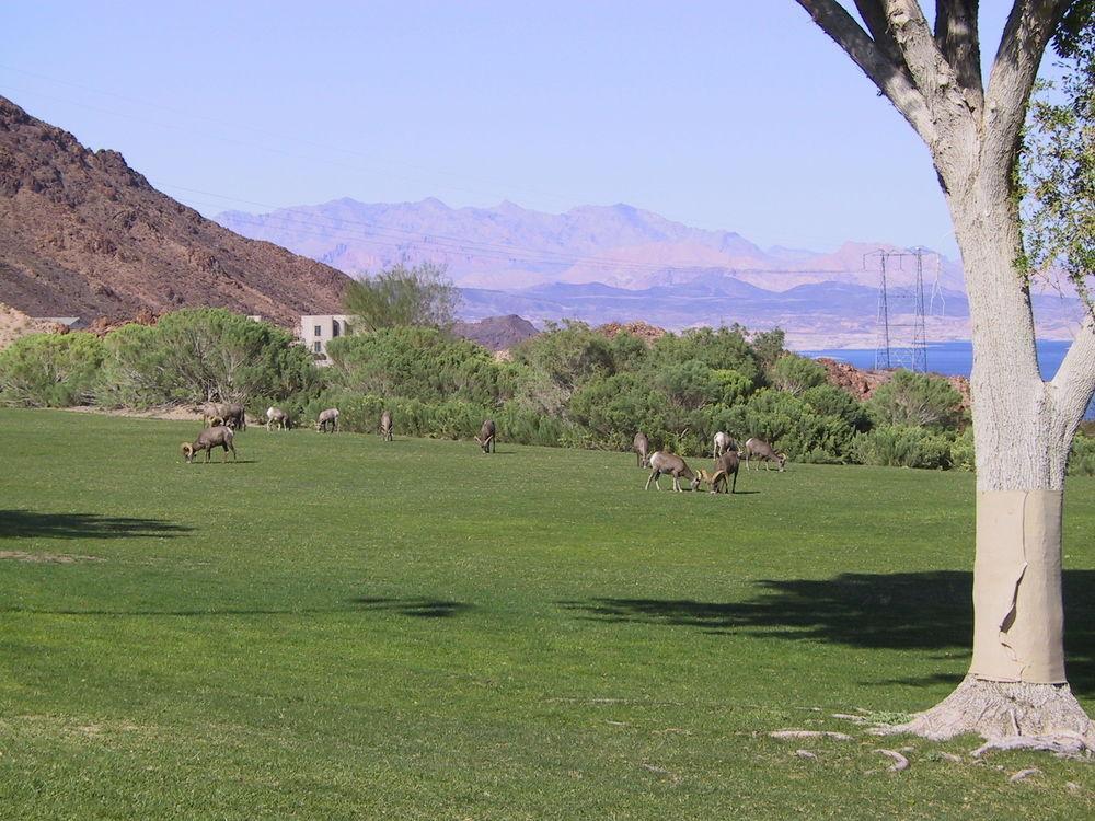 Railroad Pass Hotel And Casino Ramada By Wyndham Boulder City Zewnętrze zdjęcie